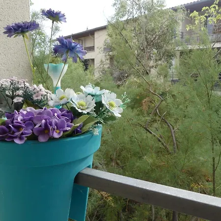 Le Jardin Bleu - Dormiratoulouse Basso Cambo Apartment Toulouse
